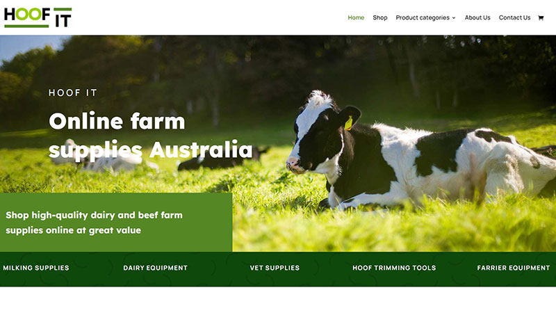 Factor UTB web designer Adelaide